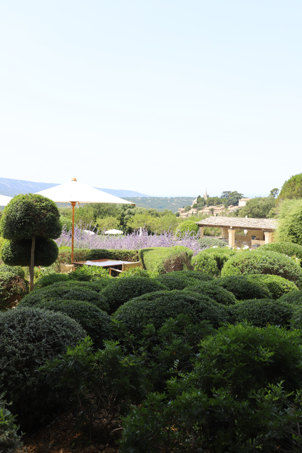 vue du jardin domaine de capelongue a bonnieux