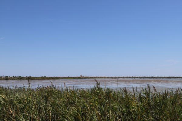 Vue de la camargue mas de la fouque saint marie de la mer